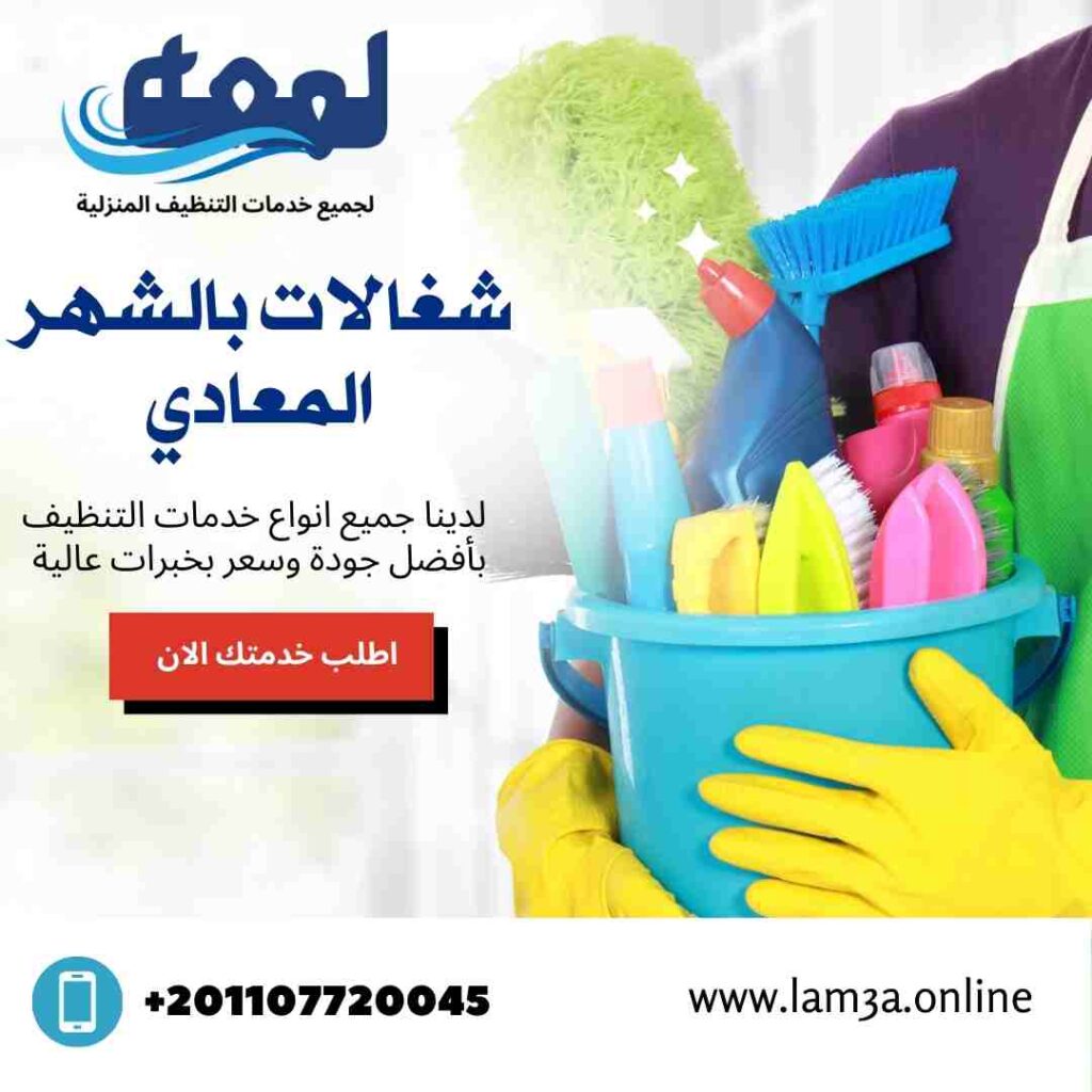 شغالات بالشهر في المعادي